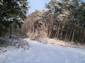 Tocht Te voet Oer-Erkenschwick - Mutter Wehner Rundweg A4 - Photo