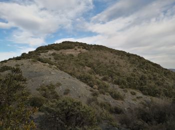 Excursión A pie Chianni - Dorsale della bassa Val di Cecina - Photo