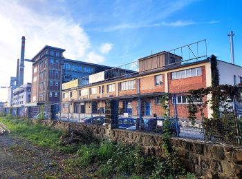 Tour Zu Fuß Rosenau - Naučná stezka Hradisko - Photo