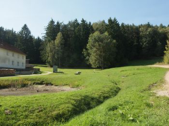 Tocht Te voet Schnaittenbach - Bernsteinweg - Photo