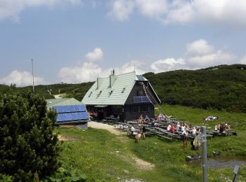 Tour Zu Fuß Gemeinde Reichenau an der Rax - Seehütte - Preinerwand-Kreuz - Ottohaus - Photo