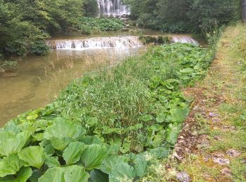 Excursión Senderismo Nozeroy - Source de l'Ain 15.7.24 - Photo