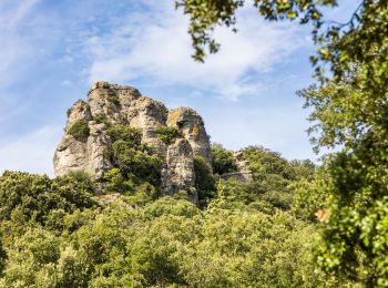 Percorso Marcia Saint-Saturnin-de-Lucian - oenorando st saturnin - Photo