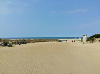 Randonnée Marche Moliets-et-Maâ - MOLIETS le courant d huchet    290 7700 - Photo