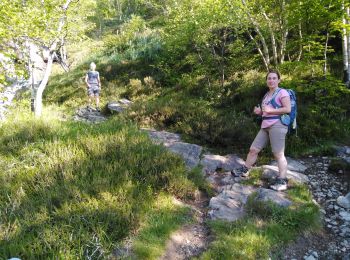 Tocht Stappen Sazos - lac de bastampe - Photo