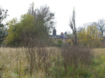 Tocht Te voet Wriezen - Grüner Strich - Photo