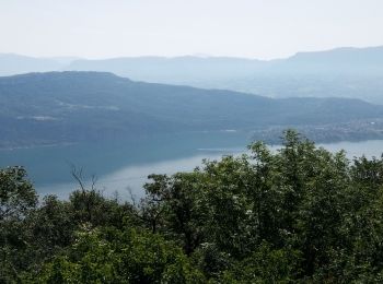 Trail Walking Ontex - Belvédère d'Ontex le pjzt - Photo