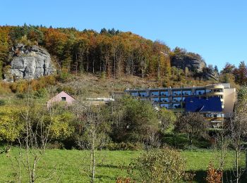 Excursión A pie Heiligenstadt - Stefan-Lößlein-Weg - Photo