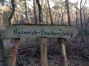 Tour Zu Fuß Kirchdorf - Rundweg Kirchdorfer Heide, Blau - Photo