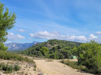 Percorso Marcia Ceyreste - Ceyrestes Le vallon du diable - Photo