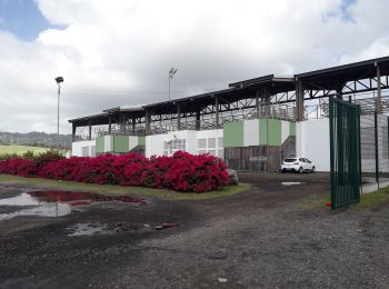 Randonnée Marche Le François - Stade du François-pointe Degras en boucle - Photo