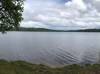 Trail Walking Montsauche-les-Settons - Tour du lac des Settons - Photo