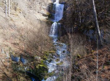 Tour Wandern Les Planches-en-Montagne - planche en montagne  - Photo