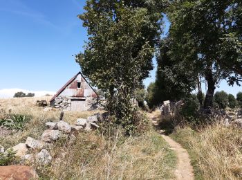 Trail Walking Prinsuéjols-Malbouzon - GR65 j3 - Photo