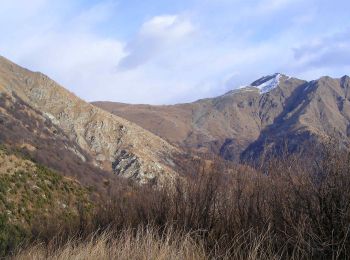 Percorso A piedi Condove - IT-550 - Photo