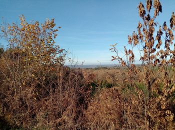 Trail Walking Le Buisson-de-Cadouin - Cadouin 12km - Photo