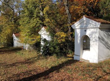 Excursión A pie Kelheim - Ortswanderweg Kelheim 4 - Photo