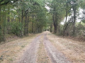 Trail Walking Gien - Arrabloy 45 22km - Photo