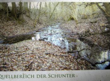 Randonnée A pied Schöningen - Elmkreisel - Photo