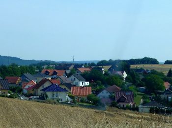 Percorso A piedi Hochstetten-Dhaun - VitalTour: Wildgrafenweg - Photo