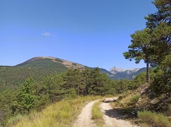 Tocht Mountainbike Aspres-sur-Buëch - Gorges de l'Agnielle - Photo