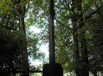 Randonnée A pied Landéan - Les Vieux Châteaux - Photo