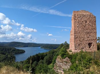 Trail Walking Badonviller - 2023-07-22 Marche Bivouac Lac de la pierre percee - Photo