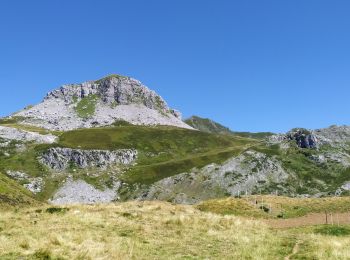 Trail Walking Aydius - pic mailh massibe et pic montagnon - Photo