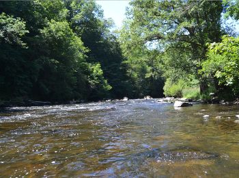 Randonnée Marche Bromont-Lamothe - Le piège à con  - Photo