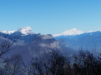 Randonnée Marche Seyssins - moucheroutte  - Photo