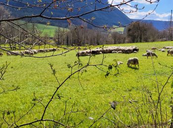 Excursión Senderismo Saint-Bauzile - la tuffiere de chailhac - Photo