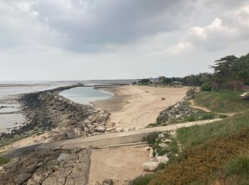 Tocht Stappen Saint-Nazaire-sur-Charente - Ballade de Charente à île madame - Photo