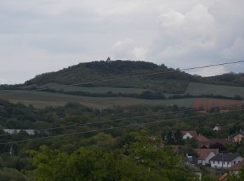 Tour Zu Fuß Munjeroth - Z+ (Mogyoród, Szent László kilátó - Mogyoród, Sikáros) - Photo