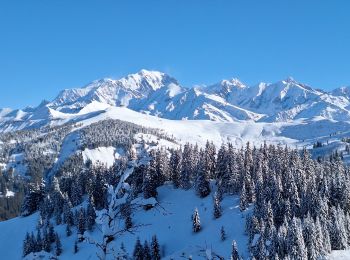 Excursión Raquetas de nieve Hauteluce - Le Signal - Chard du Beurre - Plan Chardon - Photo