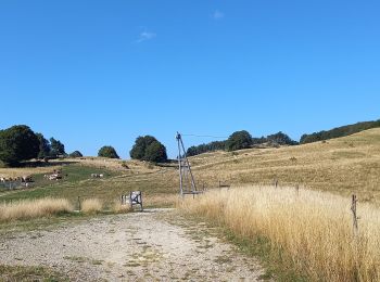 Tour Wandern Valserhône - GTJ 11 Vanchy/Ferme de Retord  - Photo