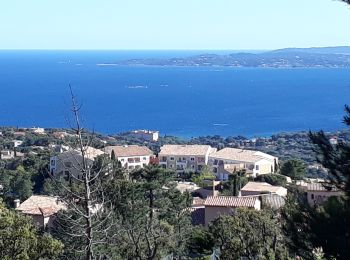 Randonnée Marche Roquebrune-sur-Argens - la Gaillarde  - Photo