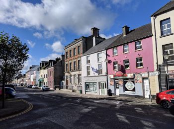 Tour Zu Fuß Claremorris-Swinford Municipal District - Ballyglass - Photo