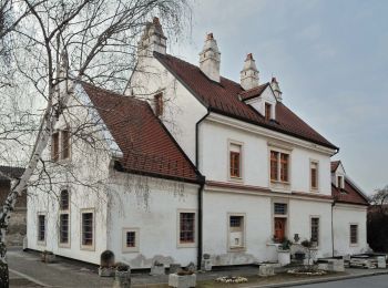 Percorso A piedi Gemeinde Donnerskirchen - Mannersdorf - 7 Linden - Donnerskirchen - Photo