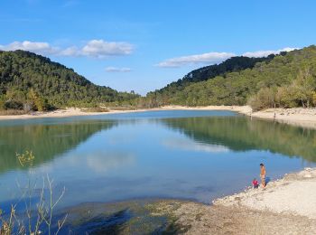 Tocht Stappen Sainte-Croix-de-Quintillargues - tour des charbonnières et tour du lac de Ceceles - Photo