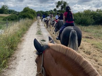 Tour sport Le Controis-en-Sologne - Rando Betty Feings - Photo