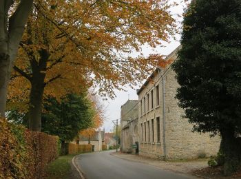 Randonnée A pied Jodoigne - Promenade de la Gobertange - Photo