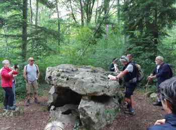 Trail Walking Courgenay - Forêt de Lancy - Photo