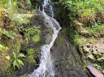 Tocht Stappen Huelgoat - Huelgoat  - Photo