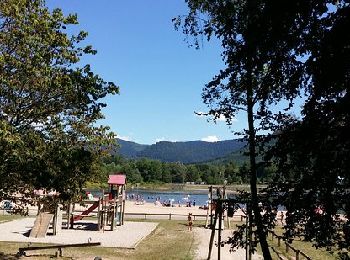 Trail Nautical Pierre-Percée - circuit poussette Le  tour  lac de Celles sur Plaine  - Photo