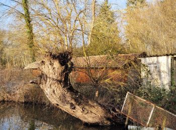 Randonnée Marche Ballancourt-sur-Essonne - Boucle Ballancourt 2 - Photo