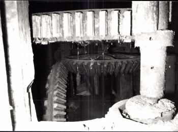 Percorso A piedi Tongeren - Rutten - Photo