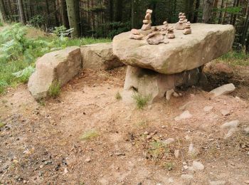 Tour Wandern Börsch - boucle klingentgahl-heidenkopf-jardin de merlin - Photo