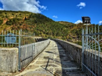 Tour Zu Fuß Campomorone - Passo Prato Leone - Laghi del Gorzente - Photo