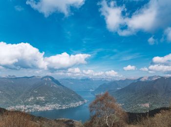 Excursión A pie Albavilla - Sentiero 18: Albavilla (Via ai Monti) - Baita Patrizi - Bocchetta di Molina - Photo