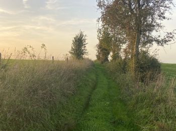 Randonnée Marche Philippeville - Jamagne variante - Photo